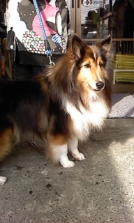 �}������