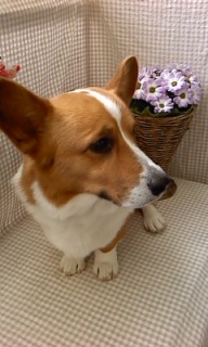 �j�R������