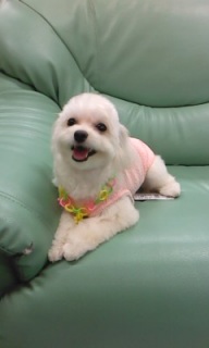 �܂�q�����