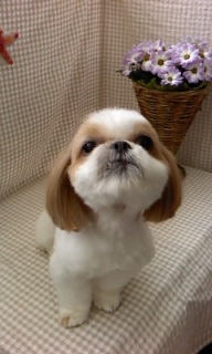 �m��������