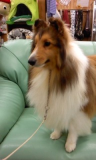 ���I�������