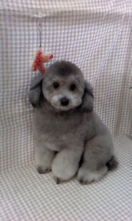 �킩�΂����