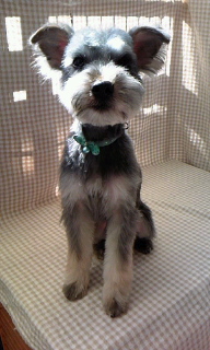 �`���R������