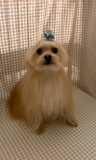 �}��������