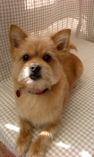 �����낤����