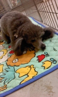 �^���E���񂨔��܂��