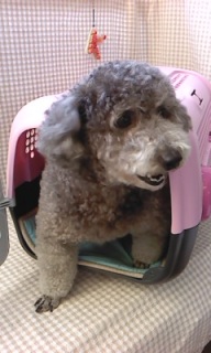 �݂邭������