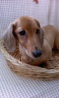 �~���[������