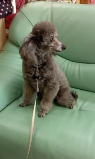 �^���E����񂨔��܂蒆��