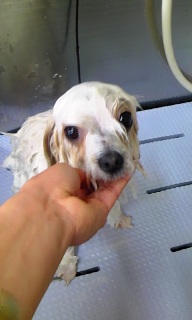 �~�~������