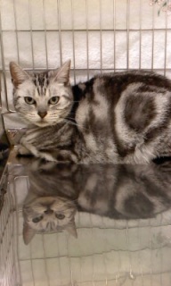 �R�}������