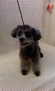 �����낤����