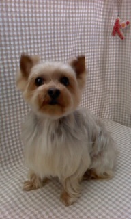 �}�[�W������