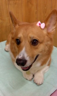 �N�b�L�[����