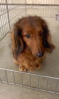 ���傤����