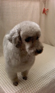 �ɂɂ������