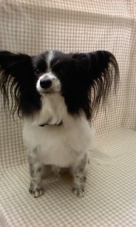 �~�I������