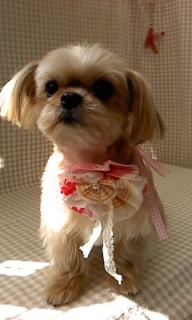 �����炿���