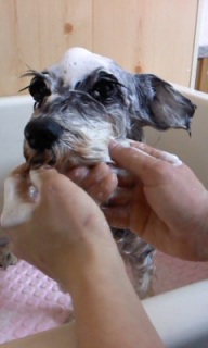 �����̎q�g���~���O��