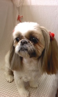 �`���R�����