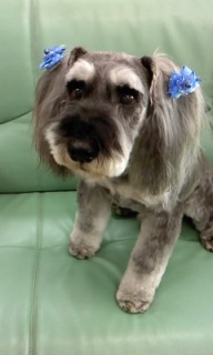 �W���b�L�[����