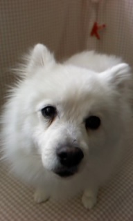 ���A�����