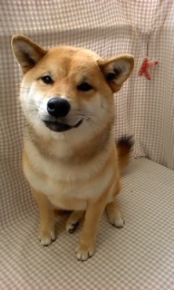 ���₿���