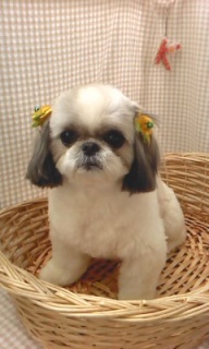 �}���������