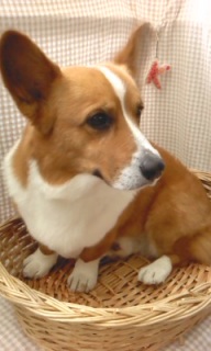 �j�R������