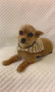 �N���X����