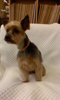 �����[�����