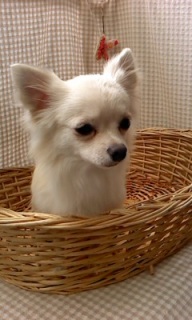 �~���N����