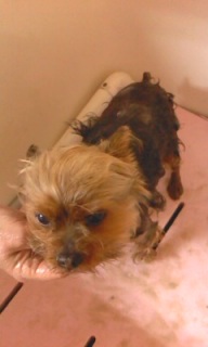 ���u����~�D�p�b�N��