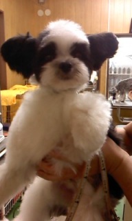 ���I����