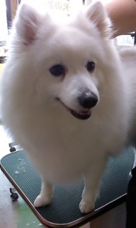 �R���������