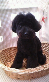 �{�b�N����