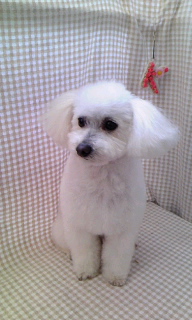 �~���N����