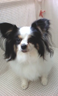 �n������