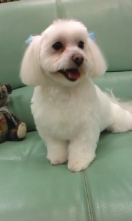 �ށX�ۂ���