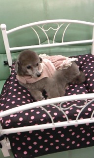 ���Ԃ����