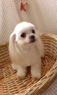 ���I������