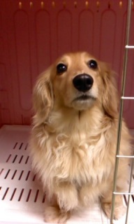 �����܂�~���������