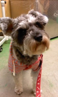 �����܂�~�}�������