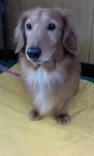 ��イ����