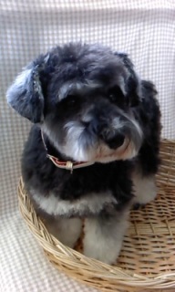 �L�g�����