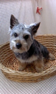 �œ�����