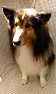 �}������