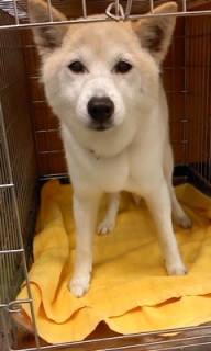 �i�i�����