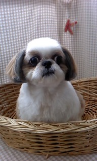 �����炿���