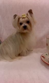 �`���R�����